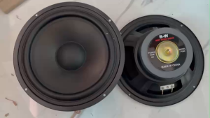 Loa rời bass 20 B-W từ 100 coil 25 gân cao su  - Giá 2 loa - Loa bass -Loa bass rời