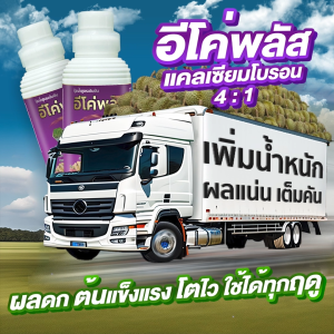 อีโค่พลัส แคลเซียมโบรอน เพิ่มการผสมเกสร ลดการหลุดร่วงของผล ลดปัญหาผลแตก ขนาด1ลิตร