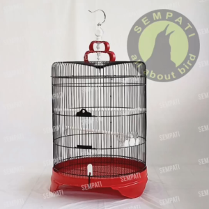 SEMPATI Sangkar Burung Murai Super Jumbo Diameter 57 Cm Fullset Gantungan Pion Mahkota Tangkringan Cepuk Stopper Sangkar Kandang Burung Murai Batu Bahan Ruji Besi Import
