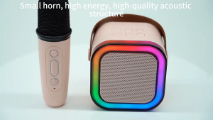 NEW Bluetooth Wireless Karaoke Speaker with Wireless Mic K12 High-end Professional Family Singing KTV