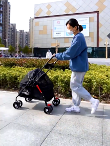 Pet Strolley Foldable With Seat Belts: A Comprehensive Guide