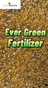 GHZ - 1KG EverGreen Flower Slow Release Fertilizer OEM Baja Perlepasan Perlahan 控释肥