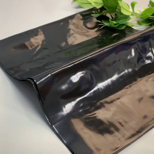 [10Pcs[ Rat Catch Stickers Sticky Glue Mouse Trap Perangkap Pelekat Tikus Gam Stick Black Clear 强力抓老鼠贴