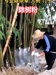 500g Remove Hexazinone Root Tree Killer Kill Tree And Bamboo Trees Weeds Withered Gb Herbicide Remover Penetration