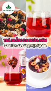 5-10 Set trà hỗ trợ trắng da ngừa nám sáng C tối A da trắng sáng từ bên trong - Chợ Thảo Dược Việt Trà Đông Trùng Và Thảo Mộc - Lazada