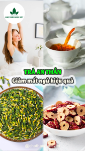 5-10 Set trà hỗ trợ mất ngủ an thần giảm stress hiệu quả tâm sen táo nhân thảo quyết minh táo đỏ - Chợ Thảo Dược Việt