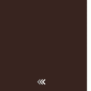 Puzzle Kayu 3D Balancing Mainan Edukasi Anak Aneka Motif