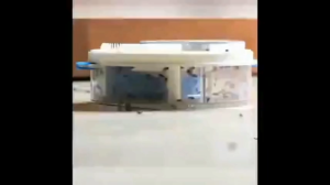 USB Electric Fly Trap Effective Flycatcher Control Insect Catching Artifacts Repeller Mosquito Flying Fly Killer Automatic Electric Flytrap Catching