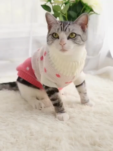 พร้อมส่ง เสื้อผ้าแมว เสื้อผ้าสัตว์เลี้ยงนุ่มXS/2XL