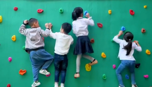 Rock Climbing Hold for Kids Climbing Rock Wall Stone Children Tree Climbing Straps Indoor/Outdoor Rock Wall Climbing Kit