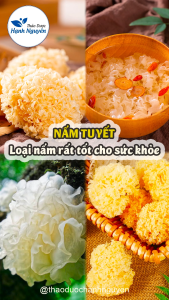 Nấm tuyết 100g ngân nhĩ khô nguyên liệu nấu chè dưỡng nhan làm gỏi dai giòn tốt cho sức khỏe