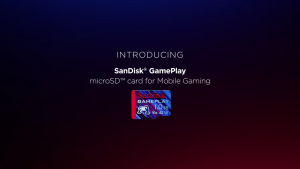 SanDisk GamePlay microSD card for Mobile Gaming 256GB microSDXC SQXAV V30 U3 C10 A2 UHS-I 190MB/s R 130MB/s W(SDSQXAV-256G-GN6XN)