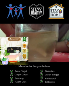Teh Daun Sukun Premium Laasyaka Untuk Ginjal Jantung Kolesterol Asam Urat Diabetes Hipertensi