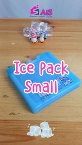 Ice Pack Siap Pakai: ICEGELKU ICE PACK SMALL 15x15cm