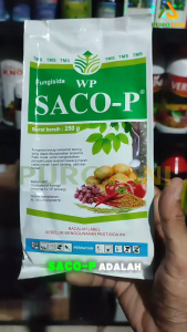 Fungisida Biologi Trichoderma Koningii Super Saco-p Pengendalian Penyakit Tanaman Cabai Pencegahan Jamur Akar Putih - Lazada