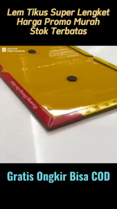 Lem Perangkap Tikus: Cara Efektif Mengendalikan Hama