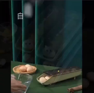 Kotak Penyimpanan telur / Egg Box Storage Dengan Model Panjang Keluar Otomatis Unik Serbaguna 8AS09