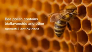 Forever Living Bee Pollen Plus (Exp April 2027)