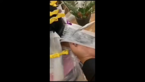 (BISA COD) YUMI HAIR COLOR PEWARNA RAMBUT MANICURE YUMI TANPA CAMPURAN YUMI HAIR COLOR CAT RAMBUT 500 ML