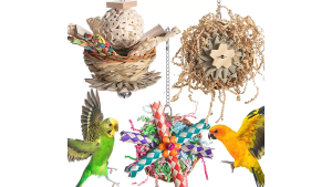 🇸🇬 Parrot Chew Toy: Interactive Foraging and Shredding with Sola Balls