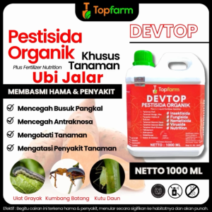 Obat Hama Ubi Jalar Lanas / Obat Pembasmi Hama Ubi Jalar / Obat Hama Daun Ubi Jalar / Obat Ulat Pada Tanaman Ubi Jalar / Obat Busuk Batang Ubi Jalar / Obat Cair Untuk Ubi Jalar / Obat Semprot Ubi Jalar