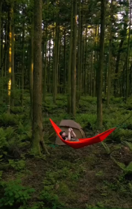 Võng du lịch camping dã ngoại  gấp gọn vải Polyester mềm mại thoáng mát kích thước 270*140cm