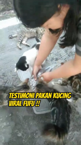 Makanan Kucing Fufu 500 gr Adult dan Kitten Ikanesia Asli Lokal Ikanesia