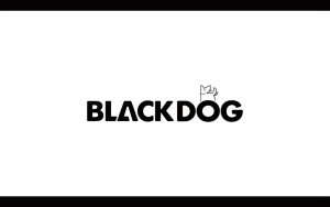 BLACKDOG Outdoor Folding Camp Cot / Camping Bed / Katil Medan