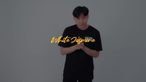 Gizmo T-shirt black White Jasmine