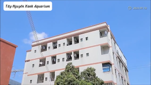 Bơm Freesea 5000L/h Hiệu Suất Cao Tiết Kiệm Điện Cánh Quạt Bằng Gốm Siêu Bền Có Thể Điều Chỉnh Tốc Độ Bơm