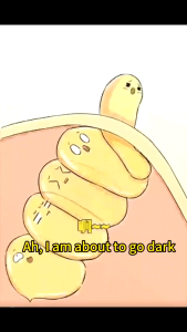 Salicylic Acid Pore Contraction Essence Moisturizing Hydrating Repair Remove Blackhead Acne Freckle Removal Hyaluronic Acid Facial Essence Pore Minimization Serum Pore Contraction