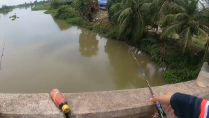 ย่องมายก ตาเบ็ดตกกุ้ง เบ็ดตกกุ้ง ผลงานการันตี!! ที่ใช้แล้ว มั่นใจยกง่ายเบาๆก็ติด