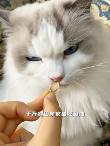 Fish Oil Capsules: Boost Brain Health & Reduce Stress