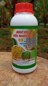 MAX RICE SỮA NUÔI HẠT- TRỔ BÔNG ĐỀU-VÀO GẠO NHANH- CHÍNH CHẮC TỚI CẬY