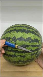 Pisau Garnish Set Lengkap Isi 7PCS - Pisau Ukir Buah Bahan Stainless Steel Anti Karat