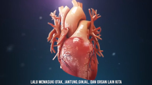 Obat Hipertensi Vertigo Sakit Kepala Paling Ampuh Apirex Bharata Kemasan 500g Isi 50 Kapsul BPOM