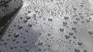 LaboCosmetica REVITAX Car Shampoo 500ml (Wash and Hydrophobic Coat)