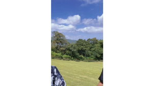 Midi Dress Muslim Busui Friendly Rayon Premium Couple Keluarga -Summer Floral By nuriariya.id