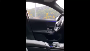 Car Air Freshener Interior Deodorant Antibacterial Sterilization One-Button Self-Spray