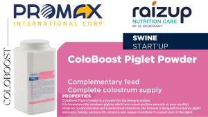 COLOBOOST PIGLET POWDER 50GRAMS good for 20 piglets