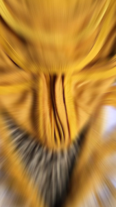 Seri Kunyit 12 Pcs Popok Bayi Baru Lahir Popok Ikat Kain Cuci Ulang 100% Kualitas Premium