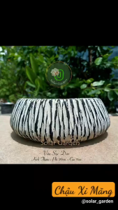 Chậu xi măng trồng cây Atlantis (có lỗ) size 20x9cm trồng cây cảnh mini để bànsen đá sen nước nuôi cá.