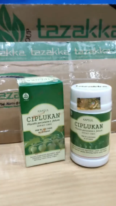 Obat herbal Alami Kapsul Herbal Ciplukan Tazakka untuk diabetes dan kencing manis Halal alami BPOM