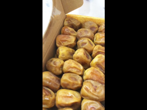 Kurma Sukkari Al Madinah 1kg Original - Kurma Sukari Premium Elshanum