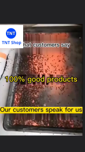 No Flies for 10 Years: Fly Killing Bait Powder & Langaw Trap Attractant