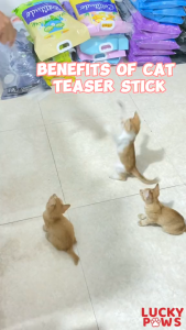 Retractable Stick Rod Funny Interactive Toy Cat Teaser Pet Cat Puppy Teaser Bell Feather