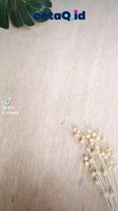 [Isi 25 pcs] Cetak Foto Polaroid 2R