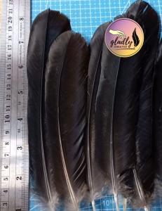 DIY Arts & Crafts Feathers | Buntot Lapad | 25-40cm | Natural Black Color