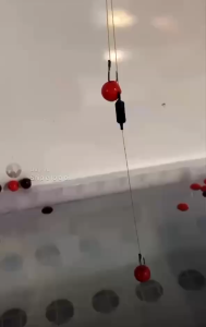 Hạt Đan Silicon 20mm Taihuyihao Logo Con Cá Chuyên Câu Chép Trắm Đen Mồi Câu Trắm Đen Cực Nhạy