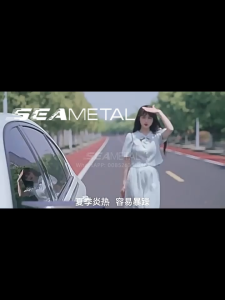 【Ready stock】SEAMETAL Universal Car Windshield Sun Shade Cover Car Sunshade Front Window Mount Umbrella Car Windshield Parasol UV Ray Car parasol car windshield sun shade 汽車遮陽伞